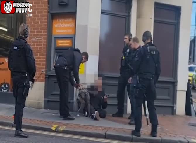 Video :After a pit bull assaults a puppy, the owner refuses to have the dog sedated